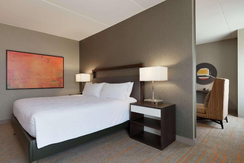 キングサイズベッドのスイートルーム, Hilton Garden Inn Rochester/university & Medical Center