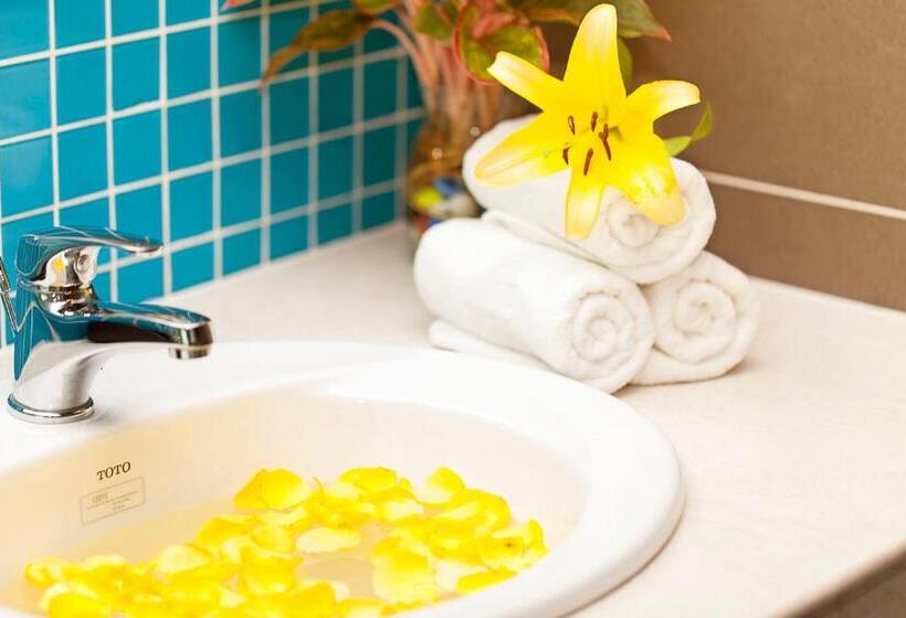 اتاق سوپریور با چشم‌انداز رودخانه, Ninh Kieu Riverside