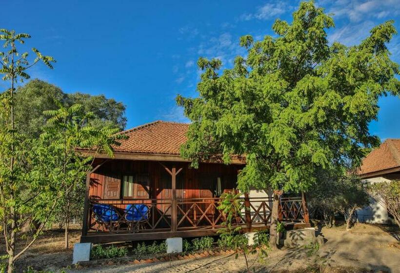 اتاق استاندارد, Kimony Resort