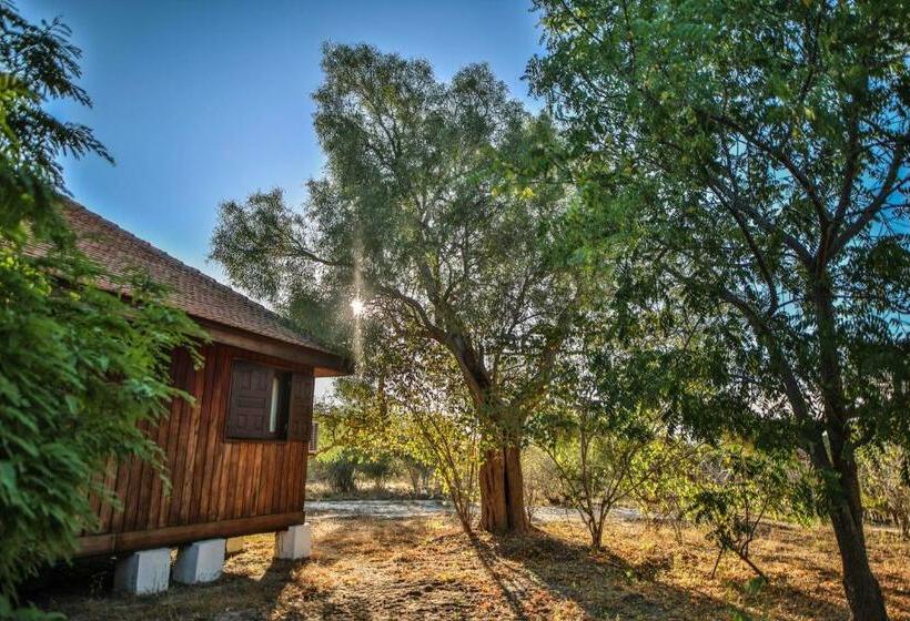 اتاق استاندارد, Kimony Resort