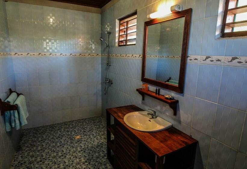 اتاق استاندارد, Kimony Resort