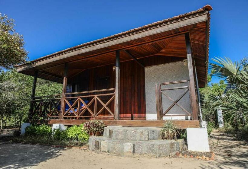 اتاق استاندارد, Kimony Resort