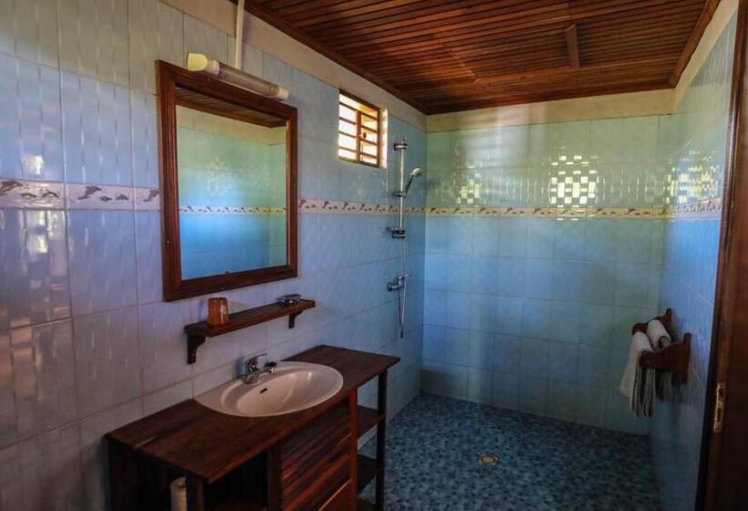 اتاق استاندارد, Kimony Resort