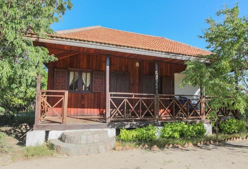 اتاق استاندارد چهار تخته, Kimony Resort