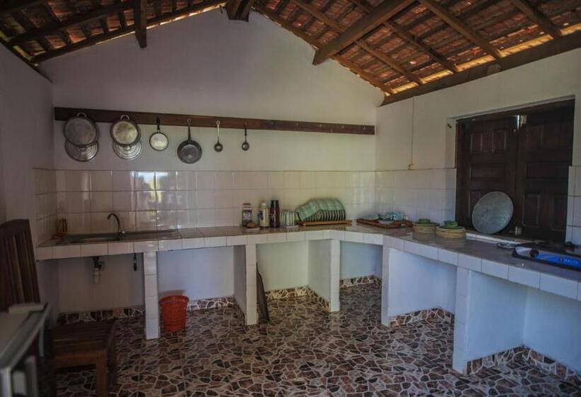 ویلای 3 خوابه, Kimony Resort