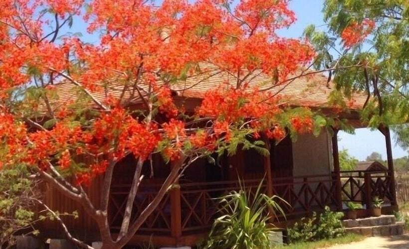 ویلای 3 خوابه, Kimony Resort