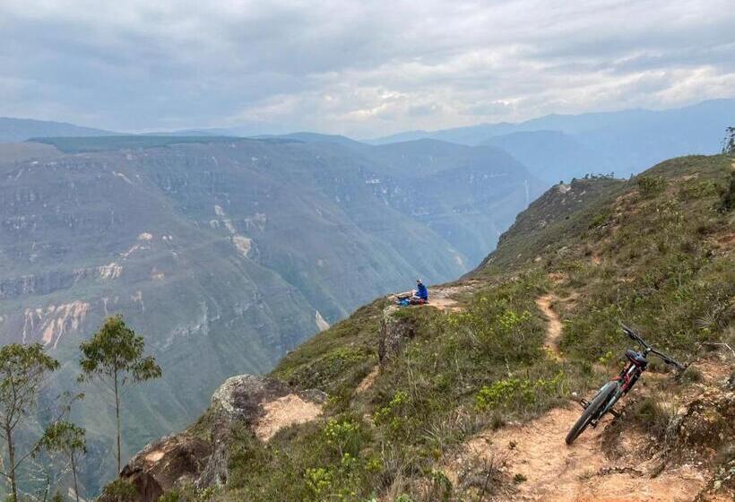 تختخواب در اتاق مشترک, Hostel Home Trotamundos