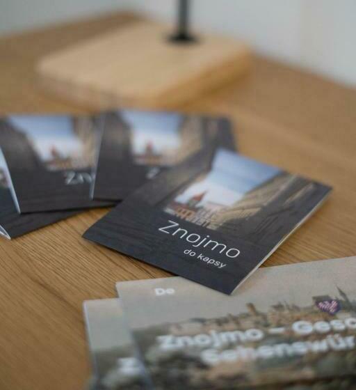 اتاق استاندارد, Penzion 7 Pokojů