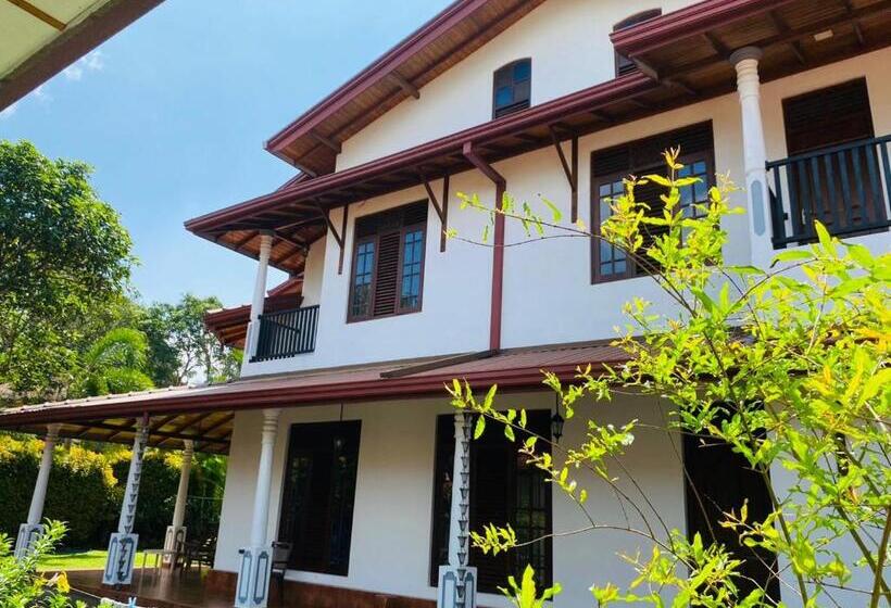 غرفة قياسية, White Villa