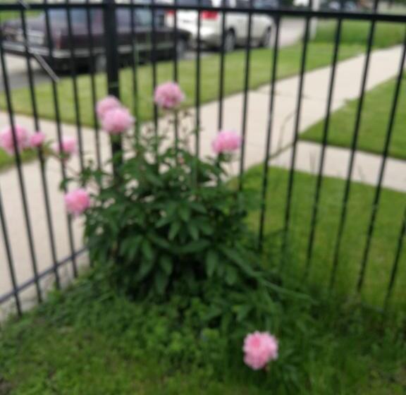 اتاق اکونومی, 320 Happy Home