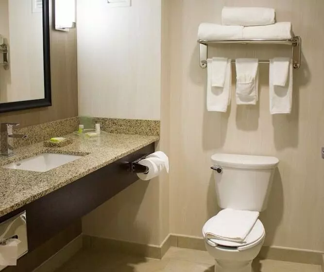 اتاق استاندارد, Holiday Inn Hotel & Suites Hermosillo Aeropuerto, An Ihg