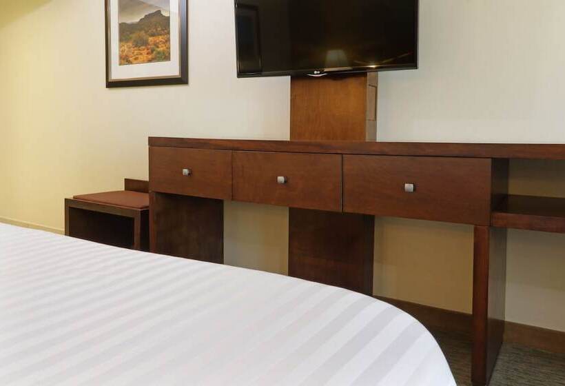 스탠다드 룸, Holiday Inn Hotel & Suites Hermosillo Aeropuerto, An Ihg