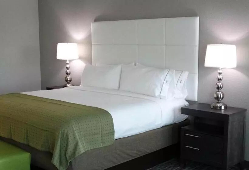 キングサイズベッドのスタンダードルーム, Holiday Inn Covington, An Ihg