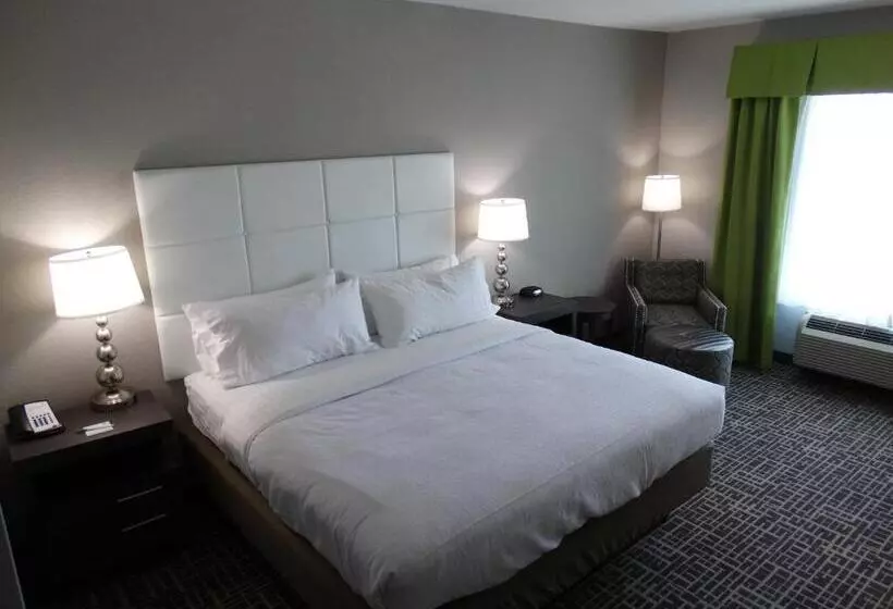 キングサイズベッドのスタンダードルーム, Holiday Inn Covington, An Ihg