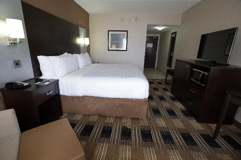 キングサイズベッドのスタンダードルーム, Holiday Inn Express & Suites Ottawa East Orleans, An Ihg