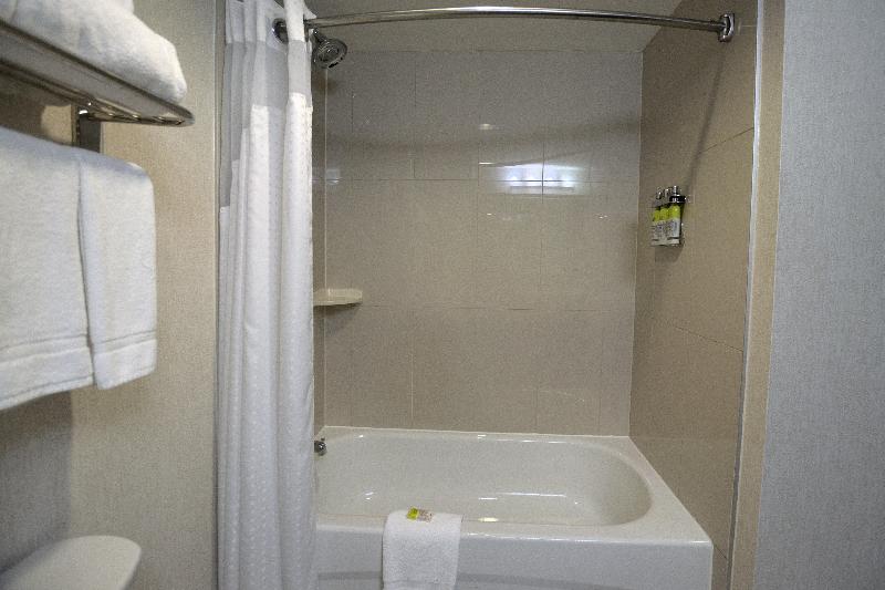 스탠다드 룸 킹사이즈 침대, Holiday Inn Express & Suites Ottawa East Orleans, An Ihg