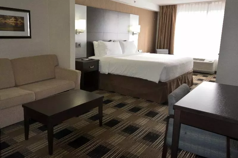 Standard-invahuone King-vuode, Holiday Inn Express & Suites Ottawa East Orleans, An Ihg
