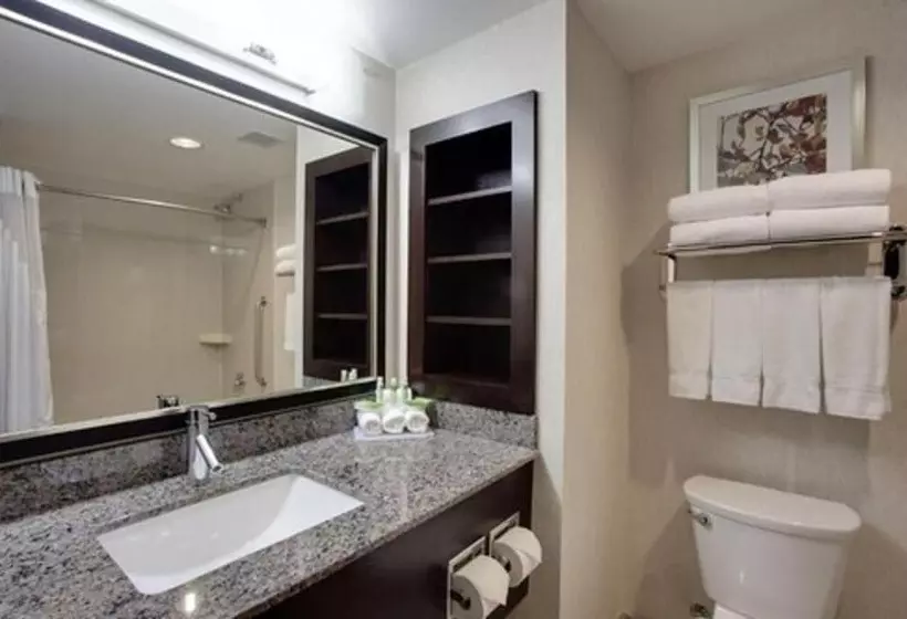 Sviitti, Holiday Inn Express & Suites Ottawa East Orleans, An Ihg