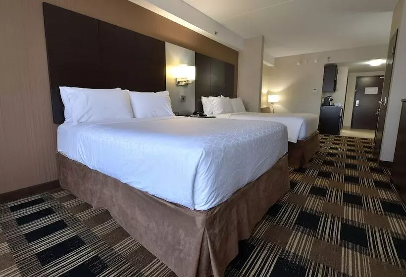 Sviitti, Holiday Inn Express & Suites Ottawa East Orleans, An Ihg