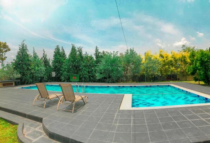 Chambre Deluxe Vue Jardin, Indah Palace Tawangmangu