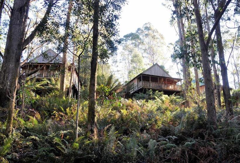 شاليه غرفة نوم واحدة, Lemonthyme Wilderness Retreat