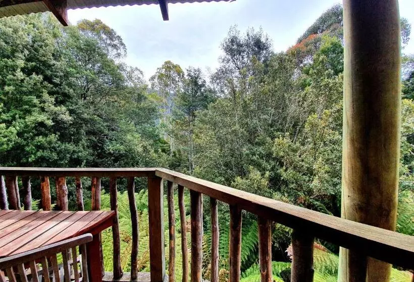デラックススイート, Lemonthyme Wilderness Retreat