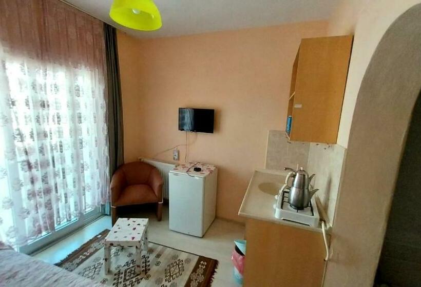 اتاق استاندارد سه نفره, Altay Motel