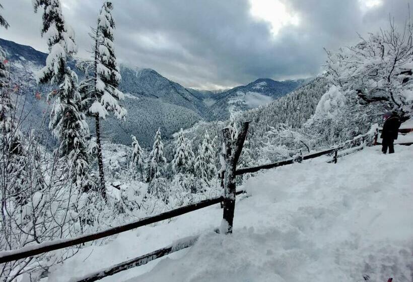 غرفة قياسية مطلة على الجبل, Sunrise Farm Stays