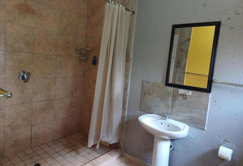 豪华房间, Horizon Bed And Breakfast