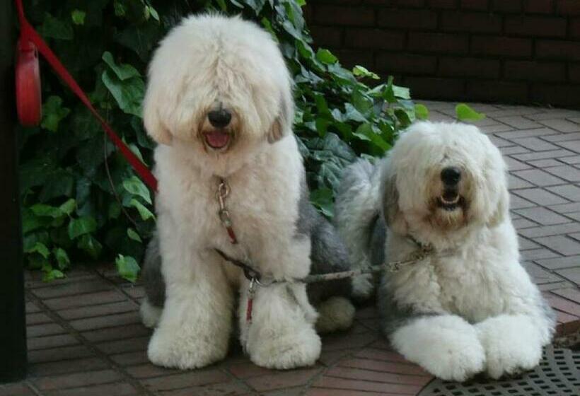 Студия Стандарт, Pension Alba   Vacation Stay 70925v