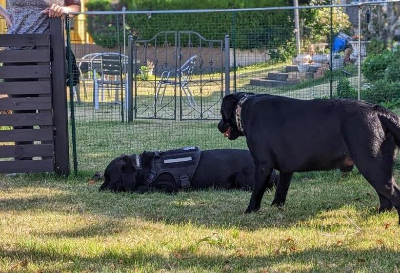 Студия Стандарт, Pension Alba   Vacation Stay 70925v