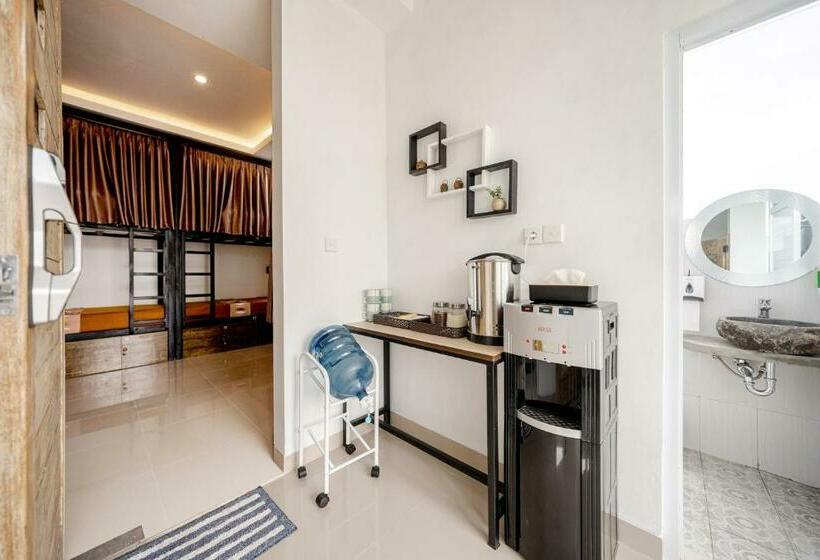 سرير فى غرفة مشتركه, The Moon Hostel