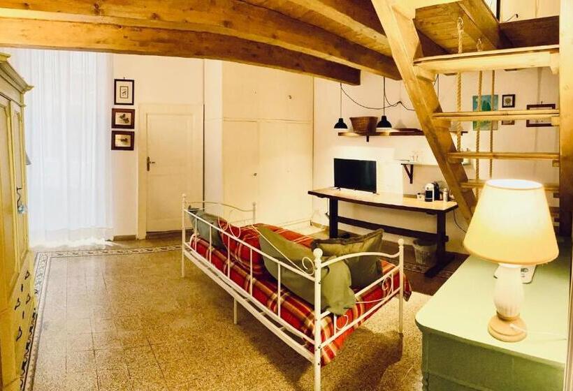 スタンダードスタジオ, Elena 39