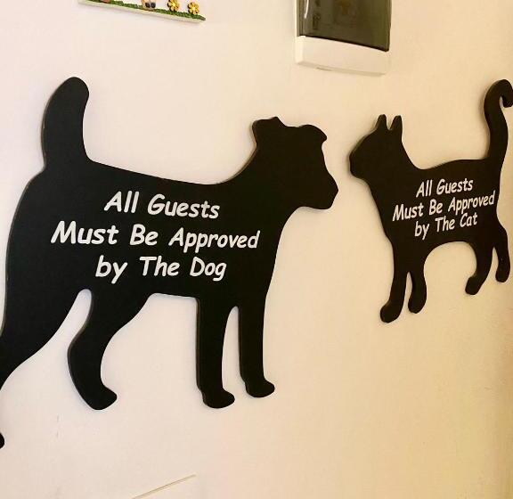 スタンダードスタジオ, Elena 39