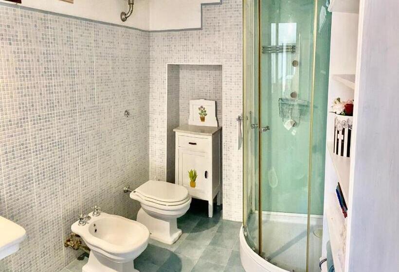 スタンダードスタジオ, Elena 39