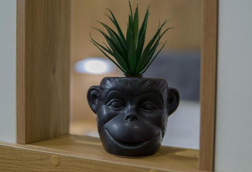 חדר דלוקס לשלושה, Morfeus