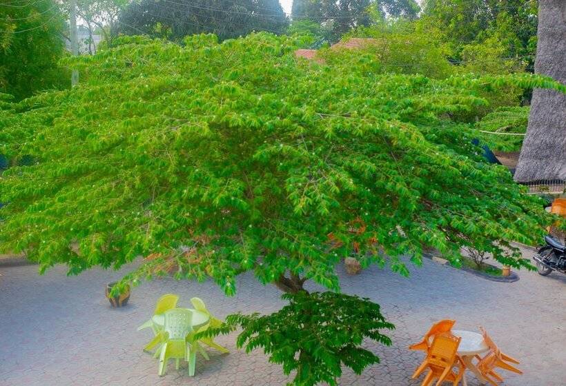 اتاق لوکس, Flamingo Hotel Kinyerezi