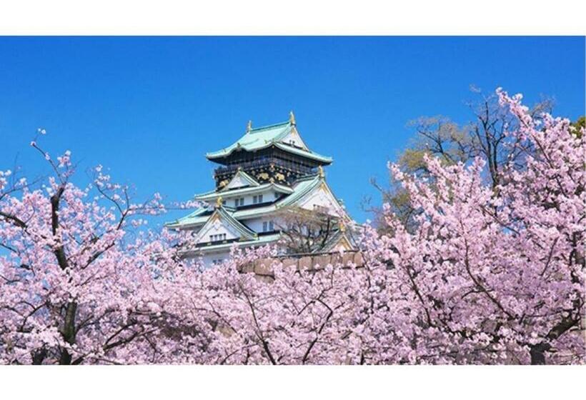 استودیوی استاندارد, Eins,inn Umeda Higashi   Vacation Stay 30028v