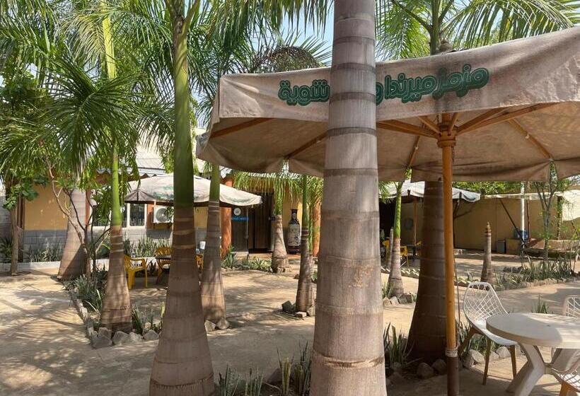 Habitación Estàndard Individual, Royal