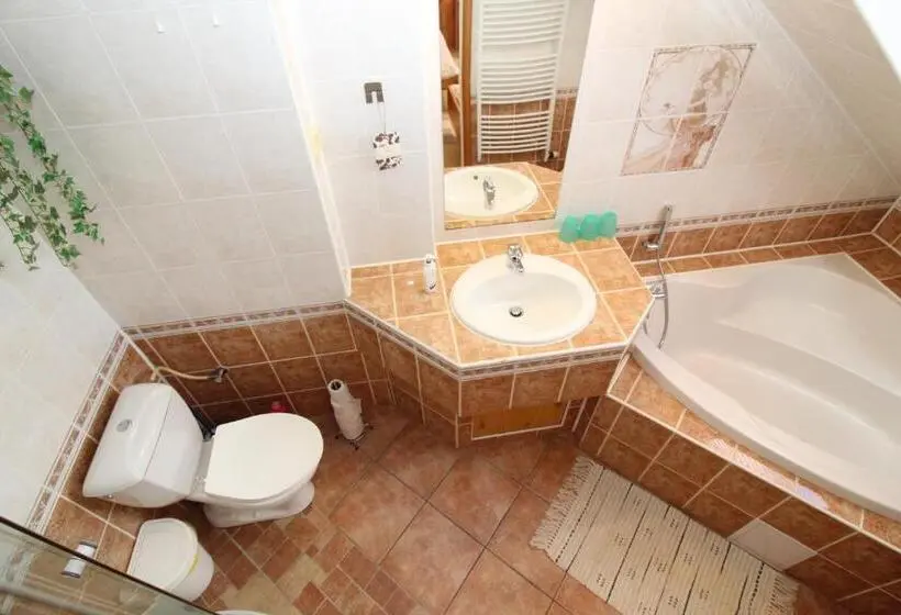 Standard Kolmen Hengen Huone, Penzion Petra