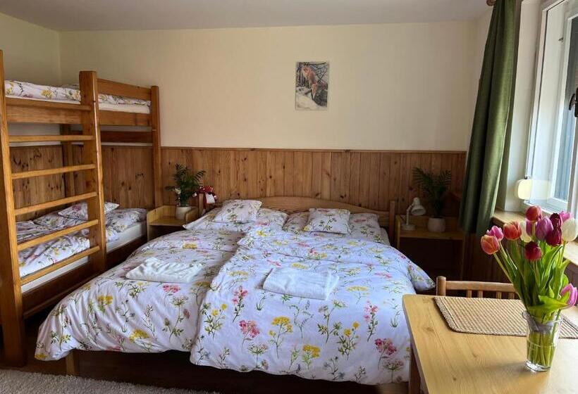 标准间, Penzion Petra