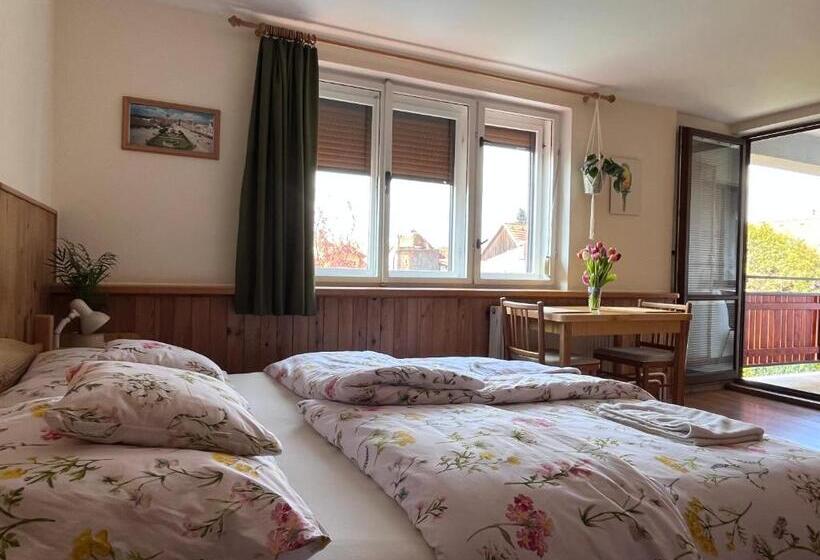 Номер Стандарт, Penzion Petra