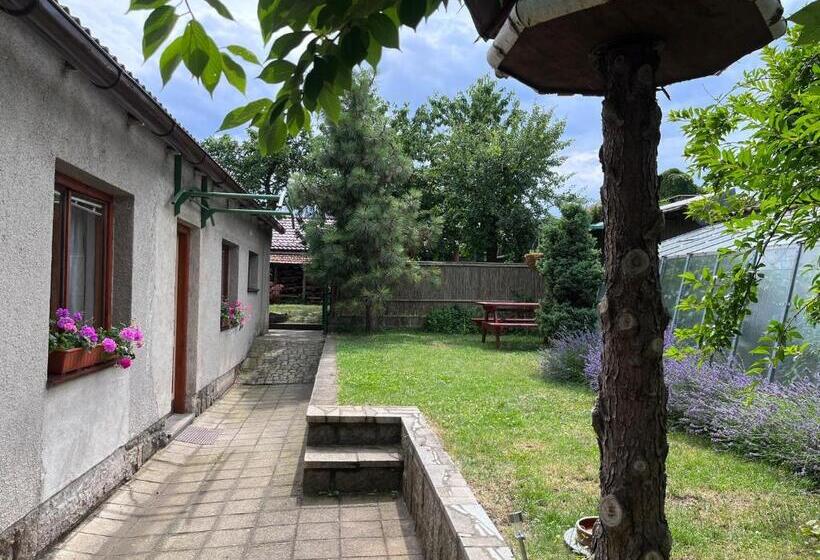 带花园景观的标准三人间, Penzion Petra