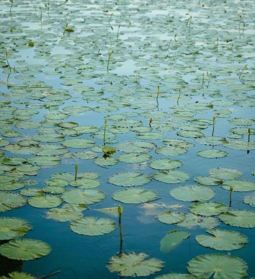 Номер Deluxe с Балконом, Naomi City Center