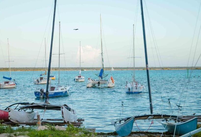 Номер Deluxe с Балконом, Naomi City Center