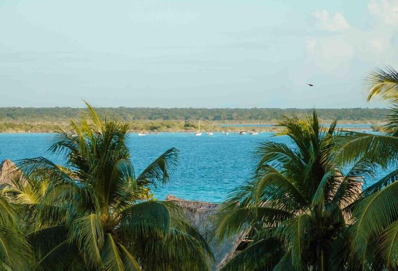 Номер Deluxe с Балконом, Naomi City Center