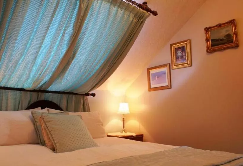 ベーシックルーム, The Sycamore Guest House