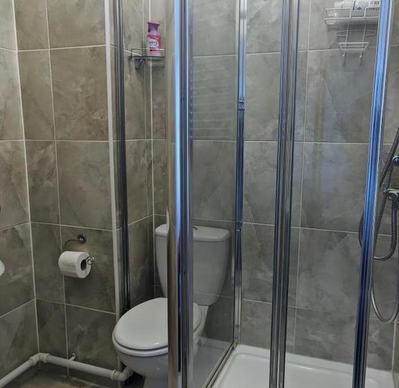 اتاق استاندارد با تخت بزرگ, The Sycamore Guest House