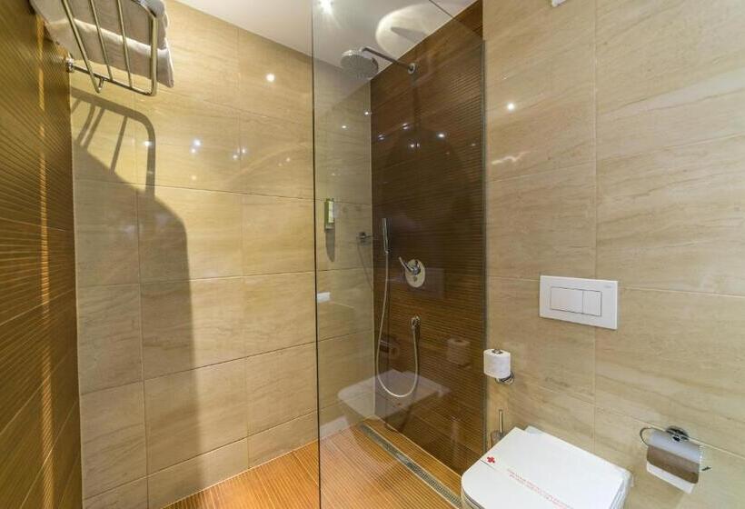 غرفة قياسية, City Hotel Mostar