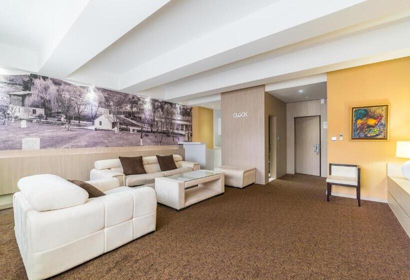 جناح رئاسى, City Hotel Mostar